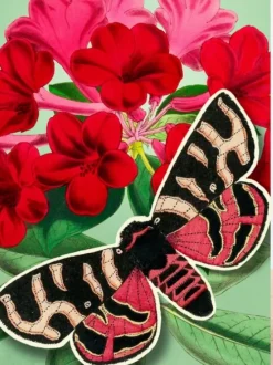 Red Pop Up Greeting Card with Butterfly