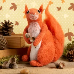 Red Squirrel Needle Felting Kit