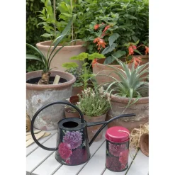 RHS British Bloom Indoor Watering Can