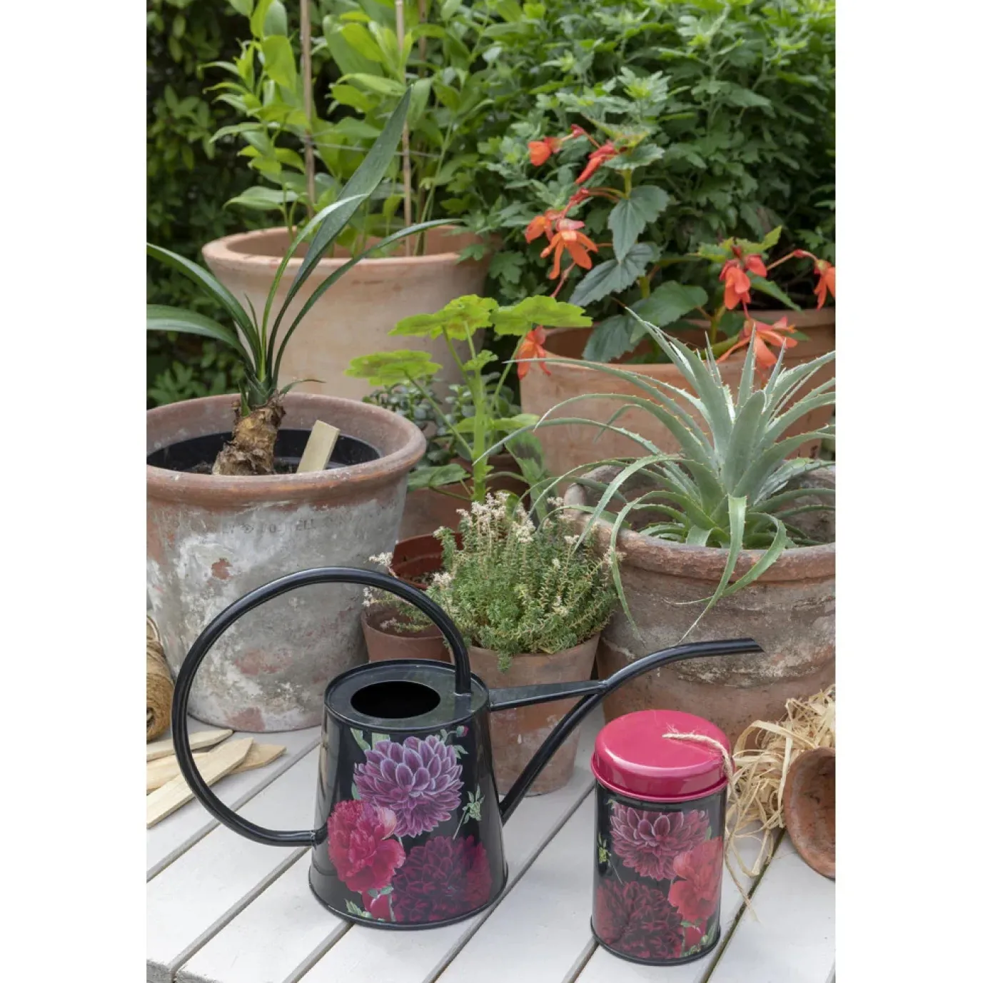 RHS British Bloom Indoor Watering Can