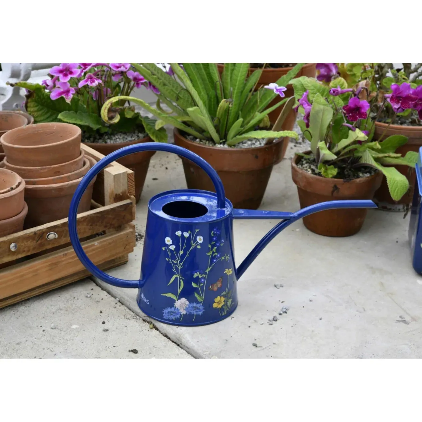 RHS British Meadow Indoor Watering Can