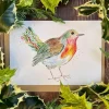Robbie the Robin Blank Greetings Eco Card