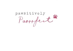 Running Cocker Spaniel Greetings Card