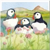 Sea Thrift Puffins Greetings Card