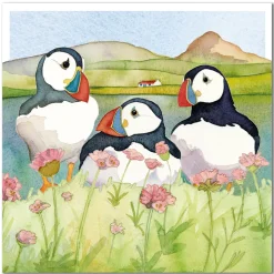 Sea Thrift Puffins Greetings Card