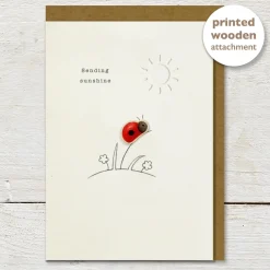 Sending Sunshine Ladybug Greeting Card