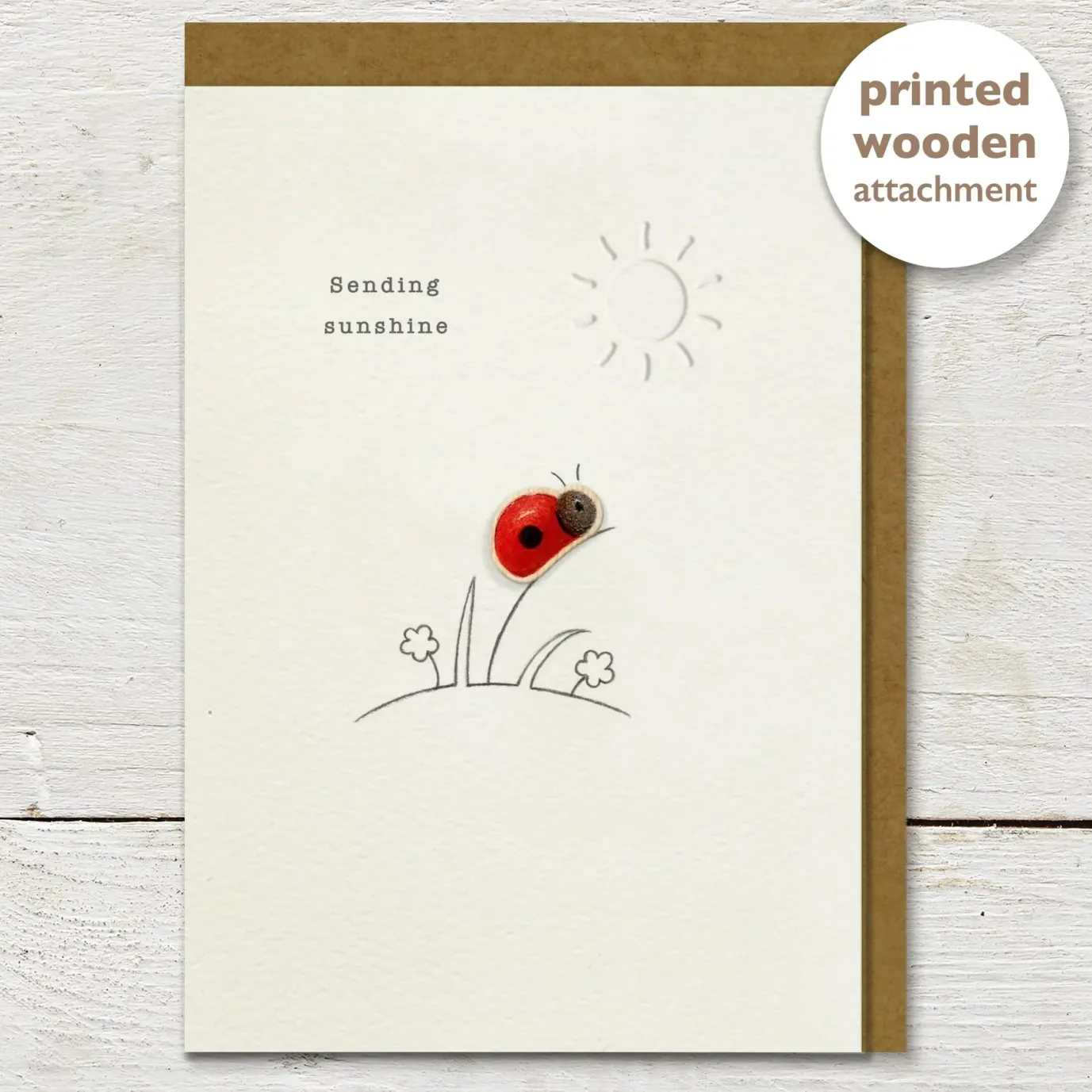 Sending Sunshine Ladybug Greeting Card