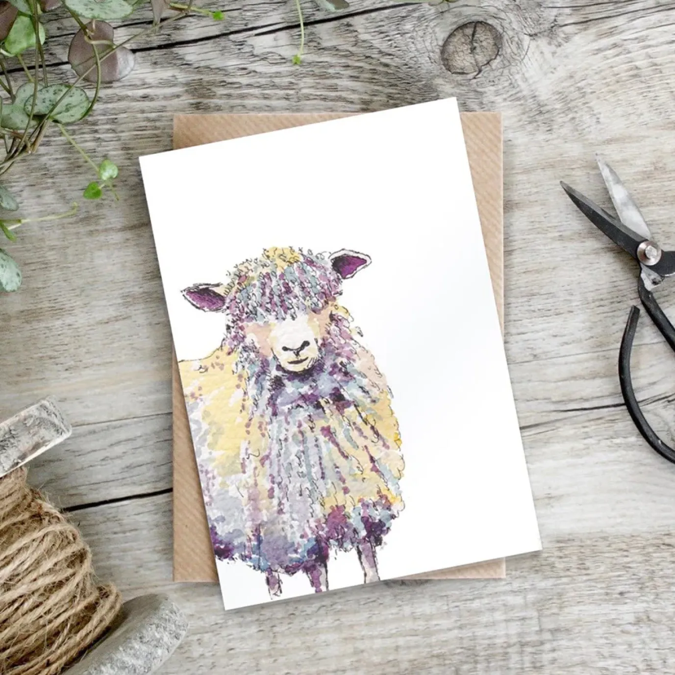 Sheep Greetings Card