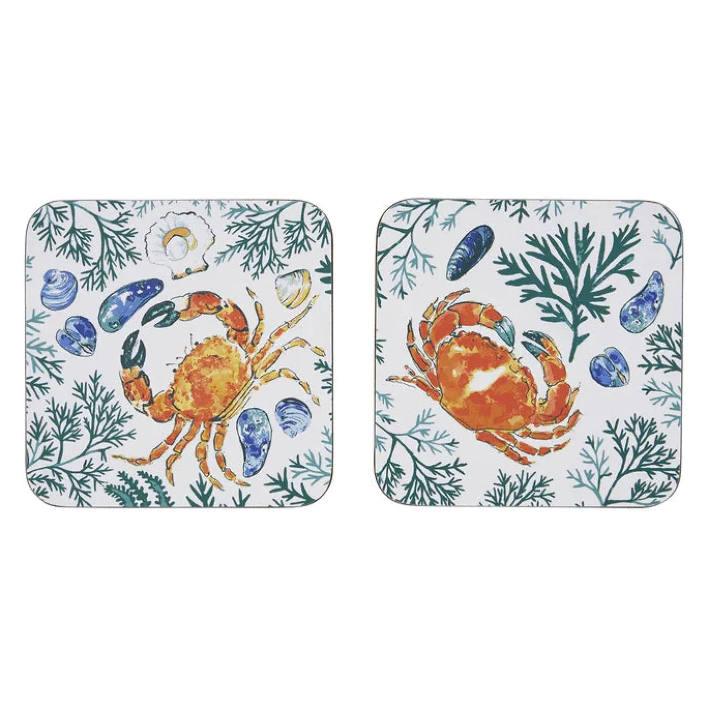 Shellfish Coasters - Set of 4
