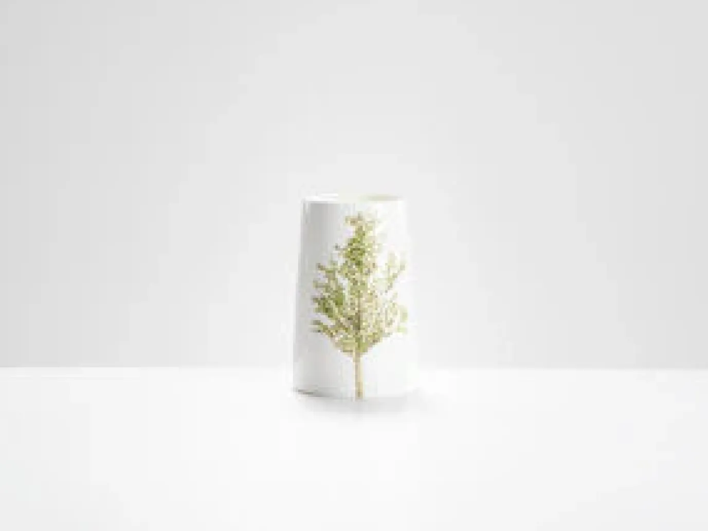 Silver Birch Vase