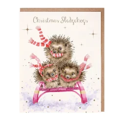 'Sledgehogs' Hedgehog Christmas Card Pack