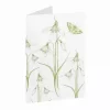 Snowdrop Little Flowers Greeting Card