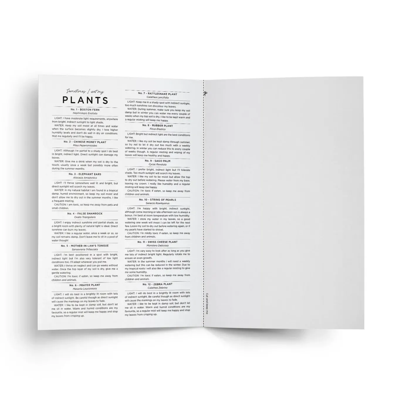 Sometimes I Wet my Plants Card