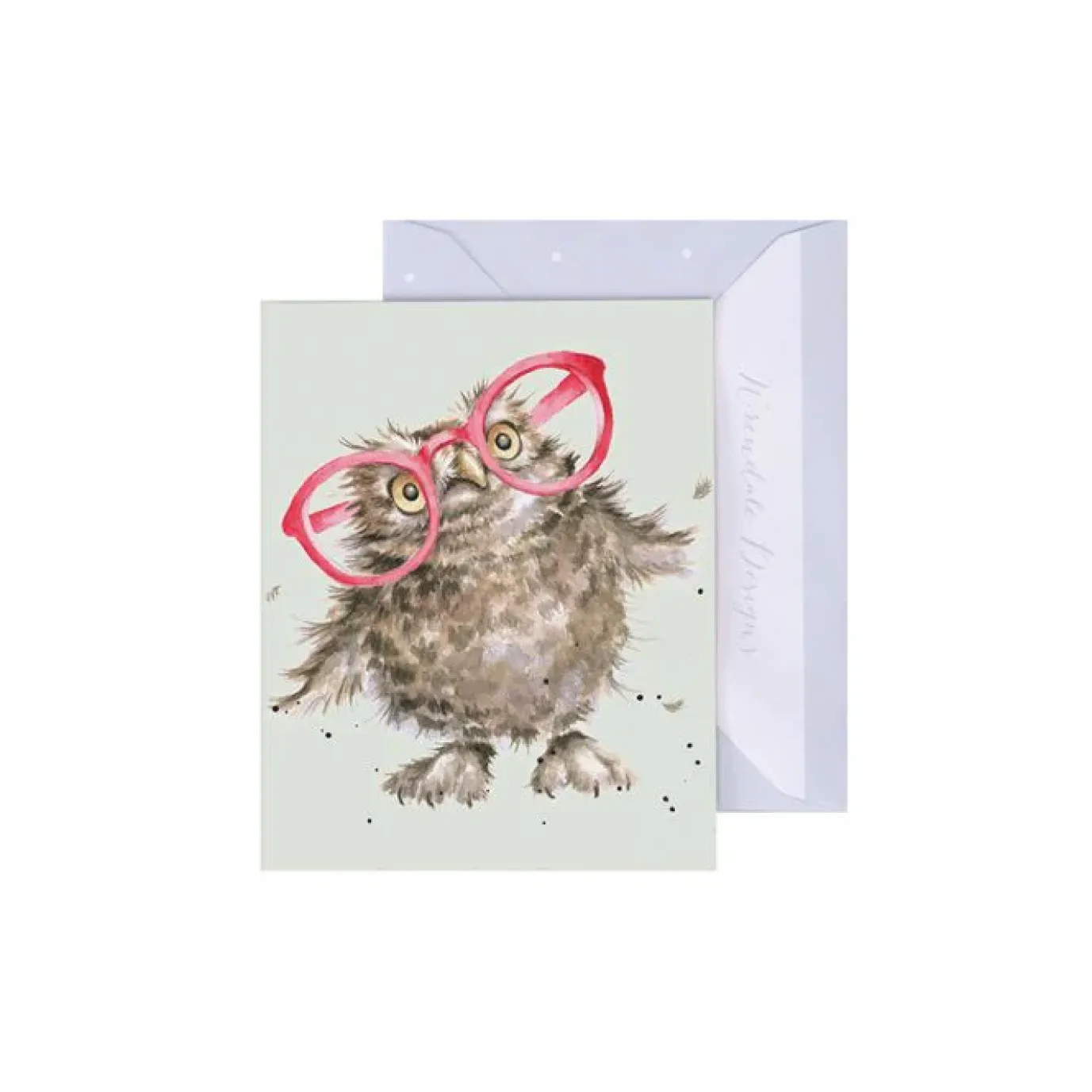 'Spectacular' Owl Gift Enclosure Card
