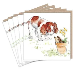 Springer Spaniel and Hedgehog Set of 5  Notecards
