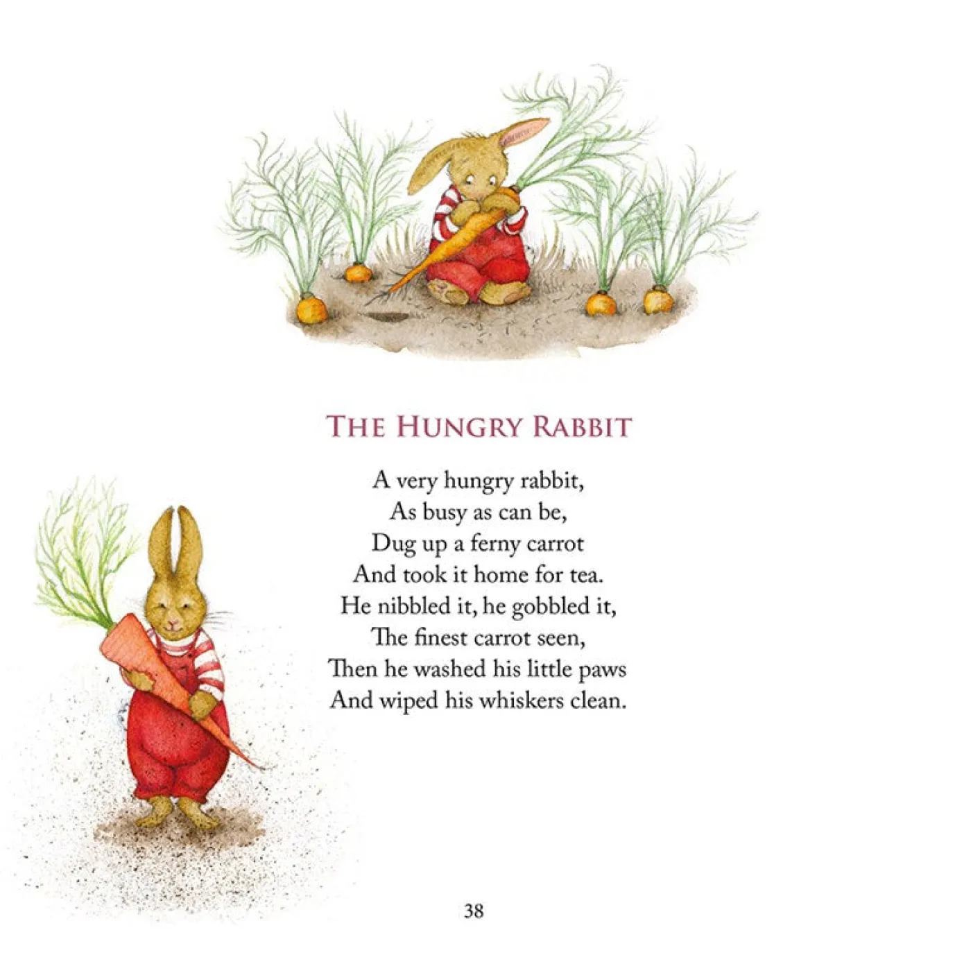 Standing In A Rainbow Book