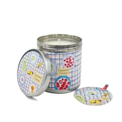 Summer Citrus- Limeleaf & Ginger Candle Tin