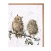 'The Twits' Owl Greetings Card
