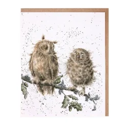 'The Twits' Owl Greetings Card
