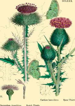 Thistle Glitter Greetings Card