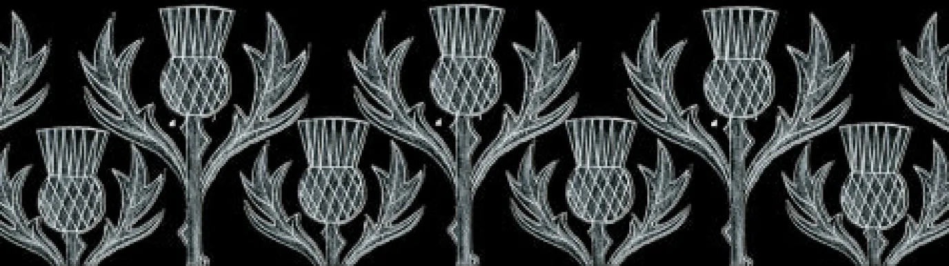 Thistle Mug by Moorland Pottery