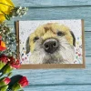 Tilly the Border Terrier Eco-card