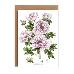 Tree Peony - card