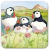 Trio Sea Thrift Puffins 2 Coaster