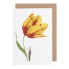 Tulip Blank Greetings Card