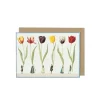 Tulip Parade Greetings Card
