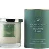 Tuscan Lime & Basil Glass Candle