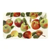 Vegetable Garden Apples Medium Oblong Plate