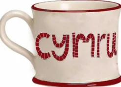 Welsh Dragon Red Mug by Moorland Pottery