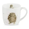 'What a Hoot' Owl Bone China Mug