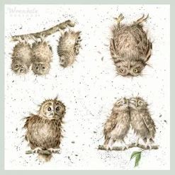 'What a Hoot' Owl Paper Napkins