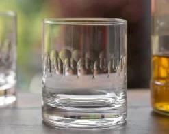 Whisky Glass with Lens Design by The Vintage List