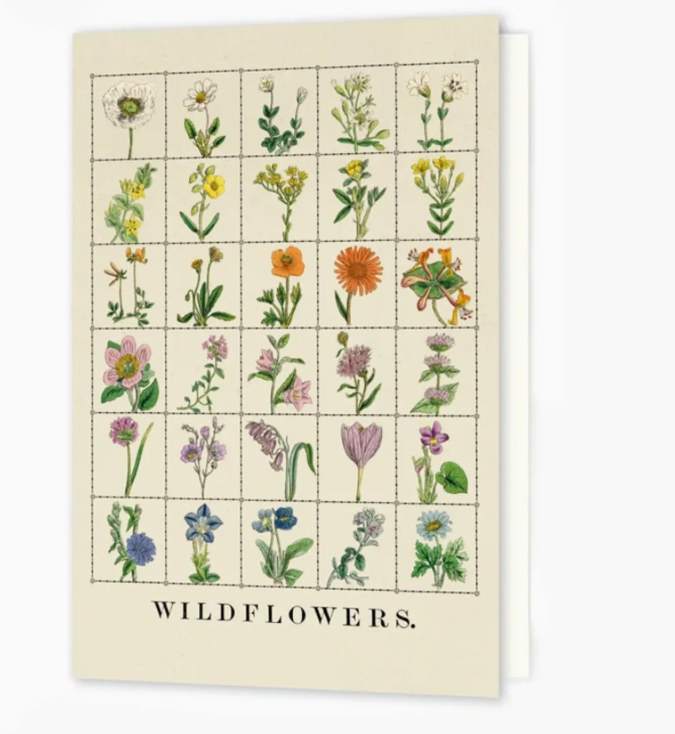 Wildflowers Greetings Card